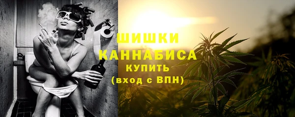 стафф Бородино