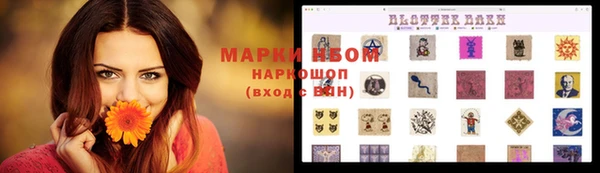 хмурый Бронницы