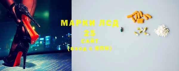 стафф Бородино
