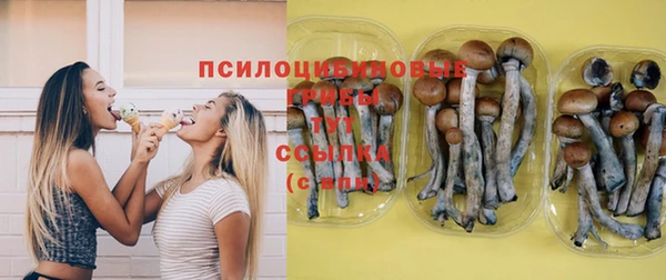 стафф Бородино