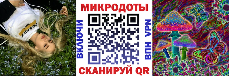 Галлюциногенные грибы Psilocybe  Купить где  Кущёвская 